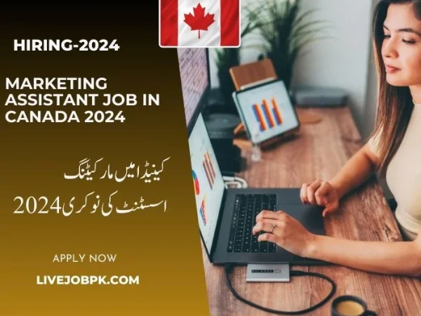 Marketing Assistant Job In Canada 2024